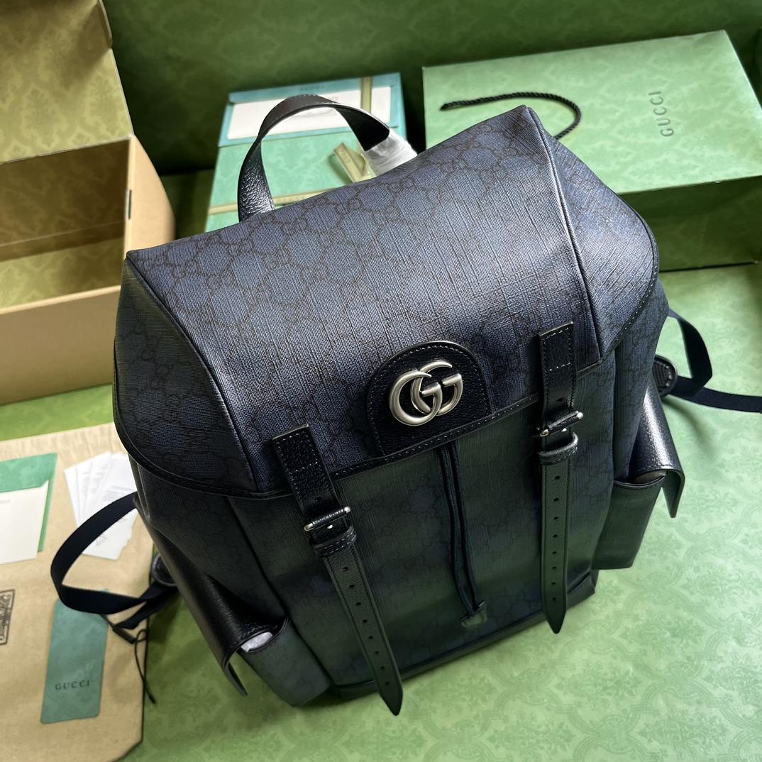 Gucci Ophidia GG Medium Backpack(24-40-16cm) - DopestKickz