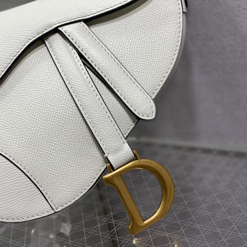 Dior Saddle Bag    19.5cm - DopestKickz