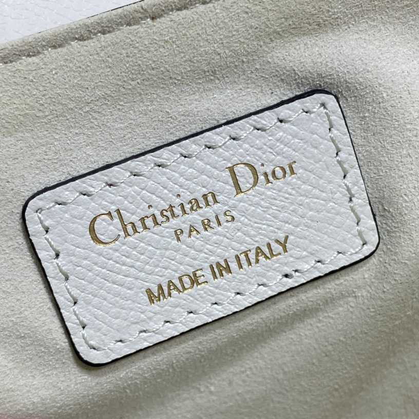 Dior Saddle Bag    19.5cm - DopestKickz