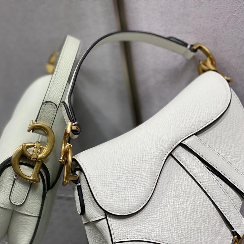 Dior Saddle Bag    19.5cm - DopestKickz