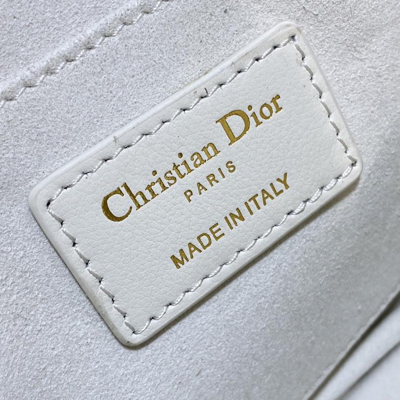 Dior Small Dior Caro Top Handle Camera Bag - DopestKickz