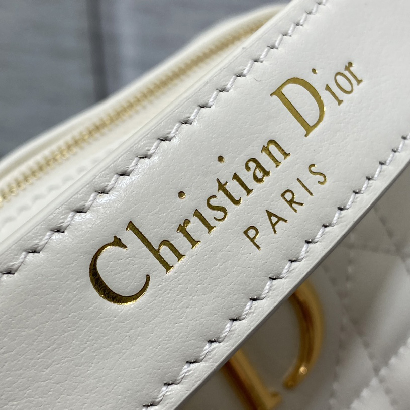 Dior Small Dior Caro Top Handle Camera Bag - DopestKickz