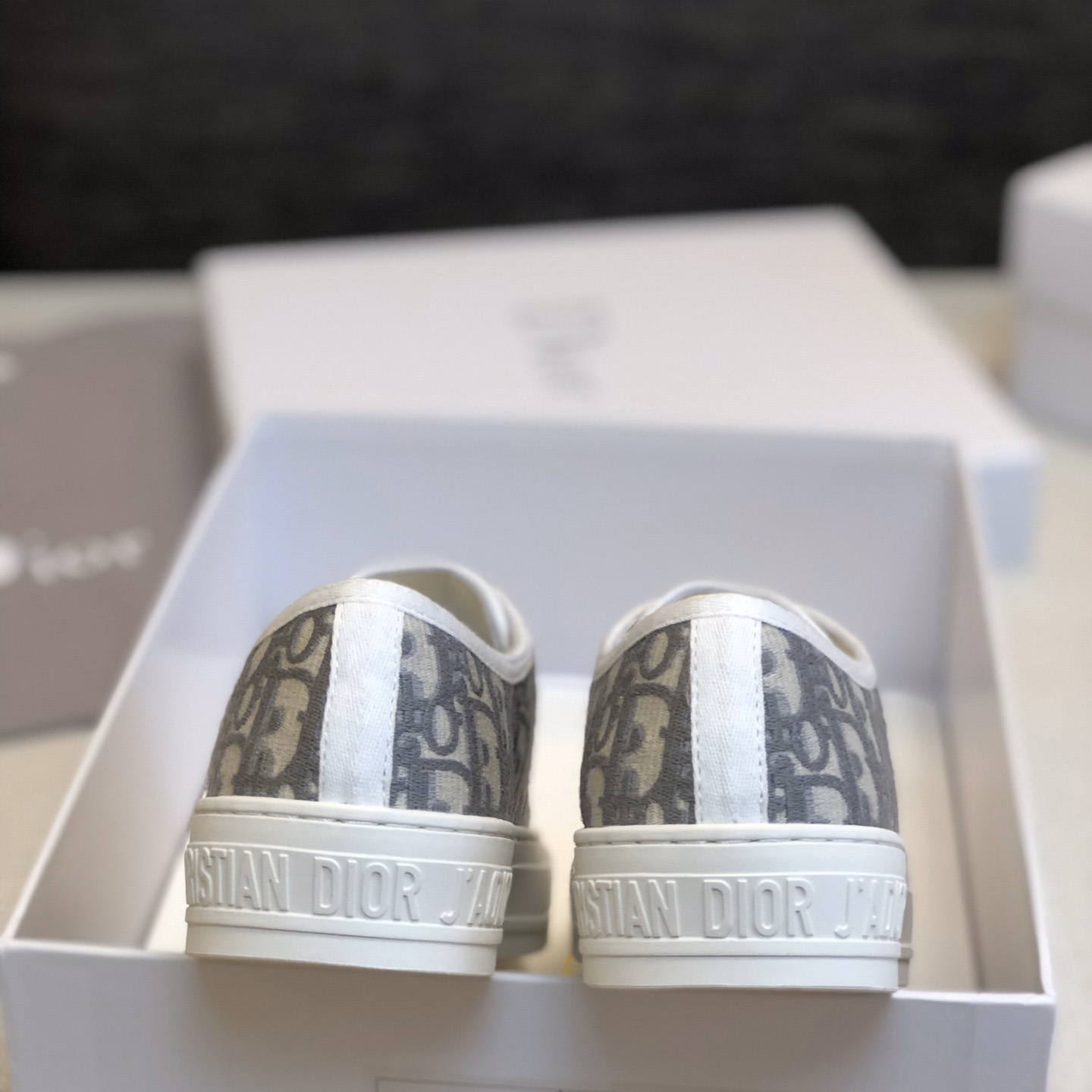 Dior Walk'n'Dior Platform Sneaker - DopestKickz