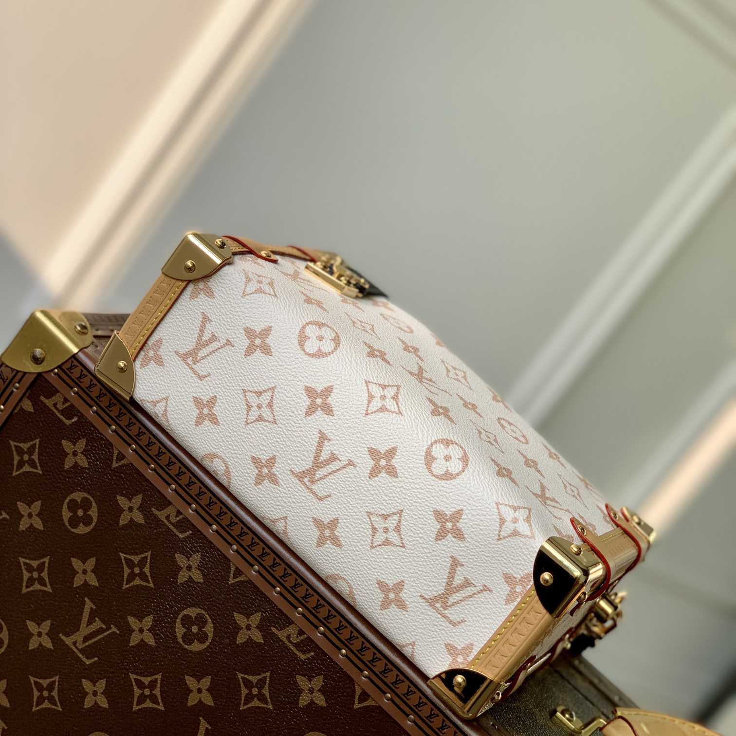 Louis Vuitton Side Trunk MM   M46907 - DopestKickz