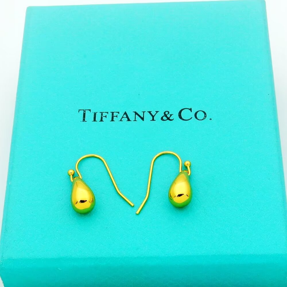 Tiffany & Co. Teardrop Earrings - DopestKickz