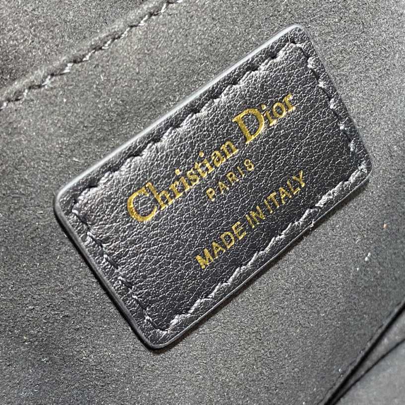 Dior Small Dior Caro Top Handle Camera Bag - DopestKickz