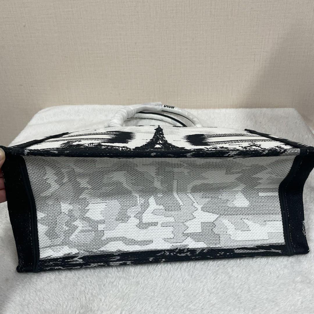 Dior Medium Dior Book Tote - DopestKickz