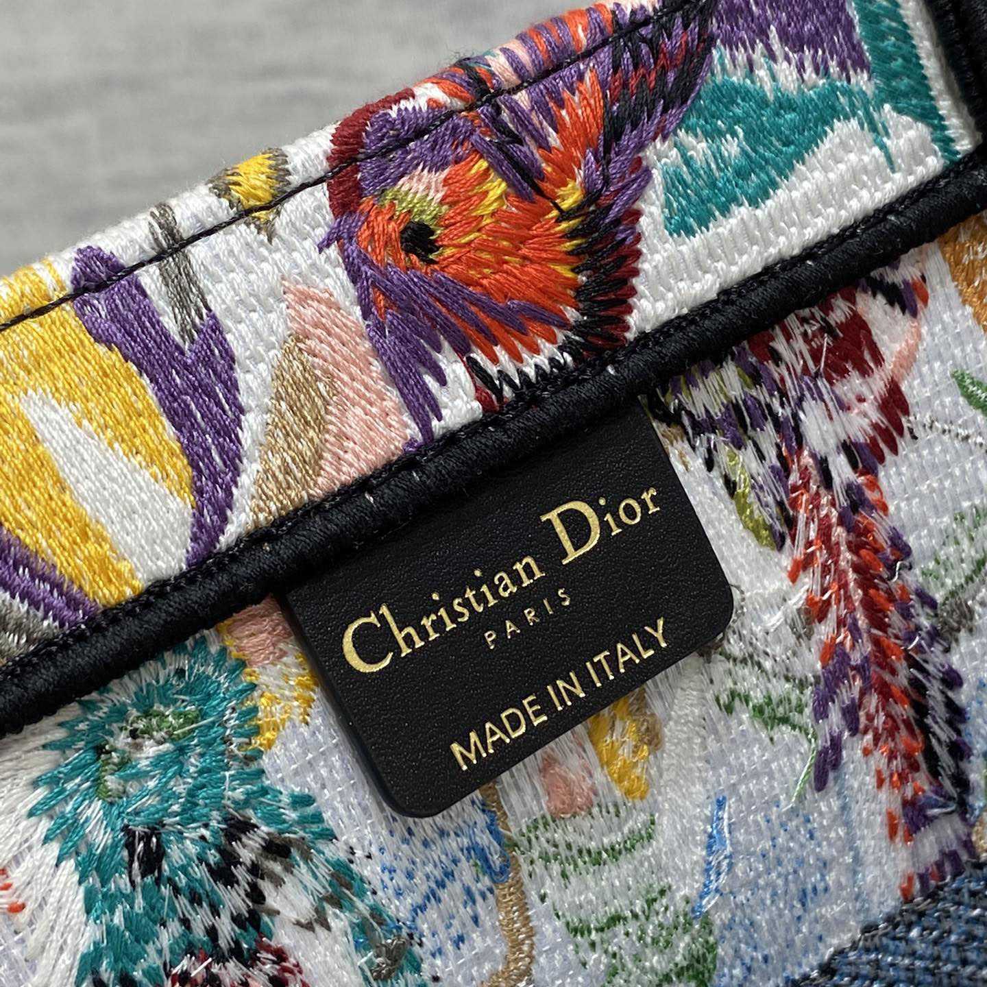 Dior Medium Dior Book Tote - DopestKickz