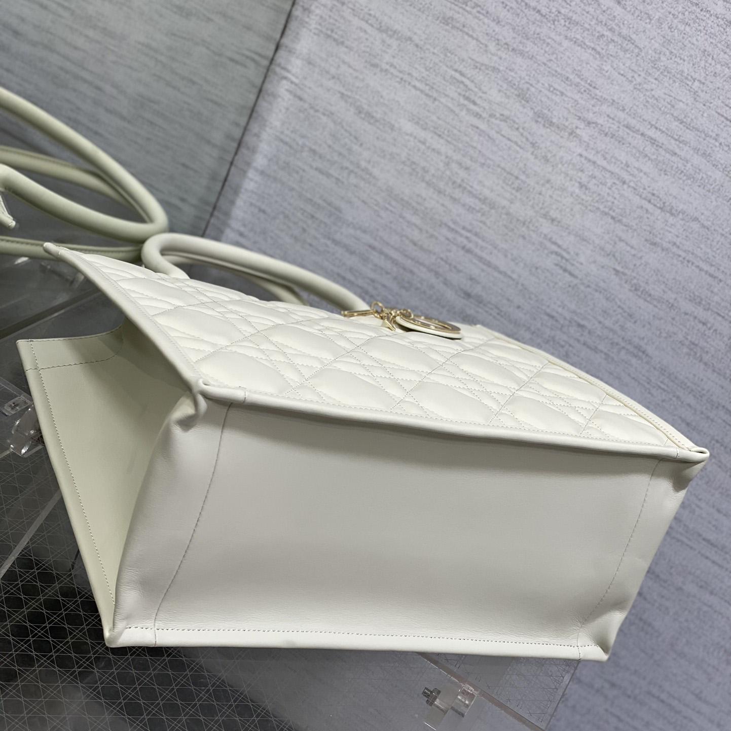 Dior Medium Dior Book Tote - DopestKickz