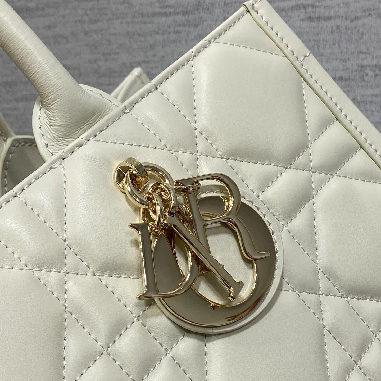 Dior Medium Dior Book Tote - DopestKickz