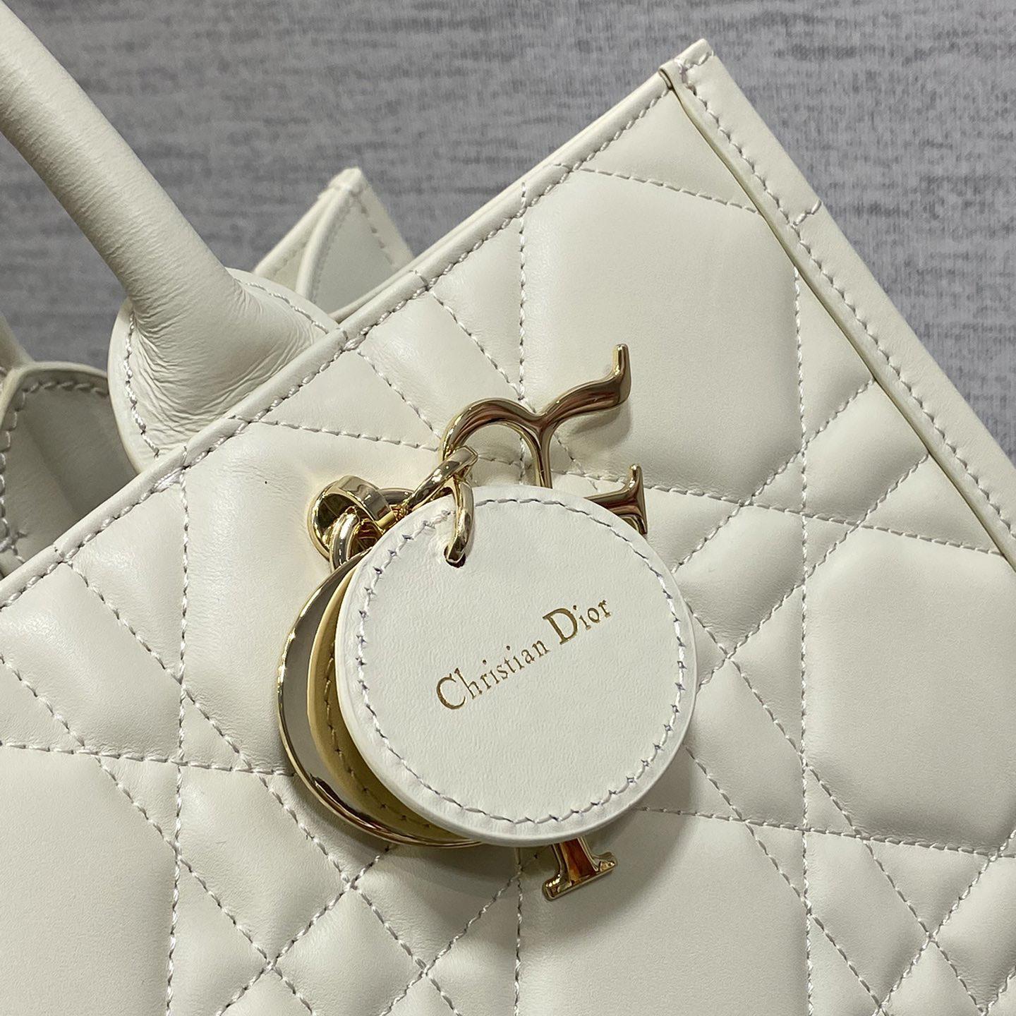 Dior Medium Dior Book Tote - DopestKickz