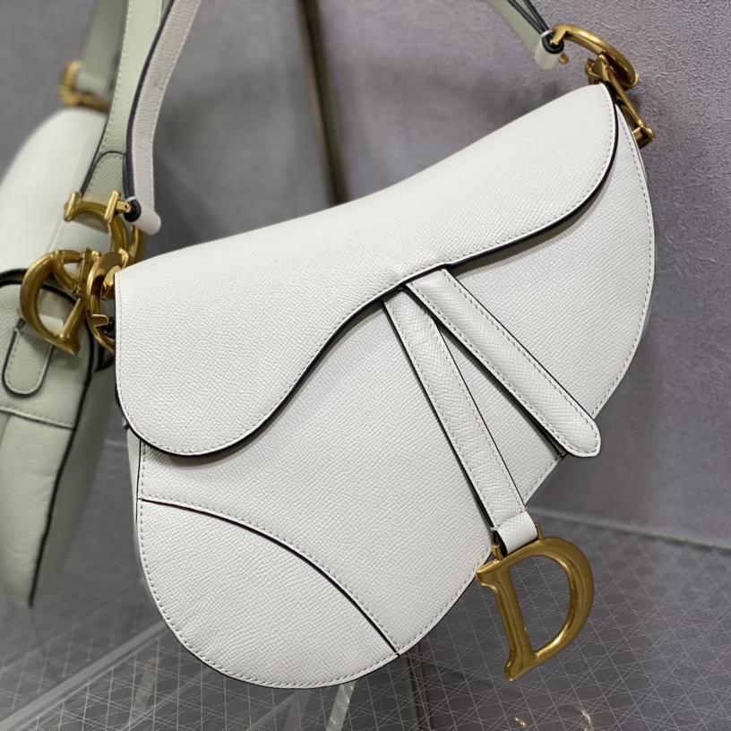 Dior Saddle Bag    25.5cm - DopestKickz