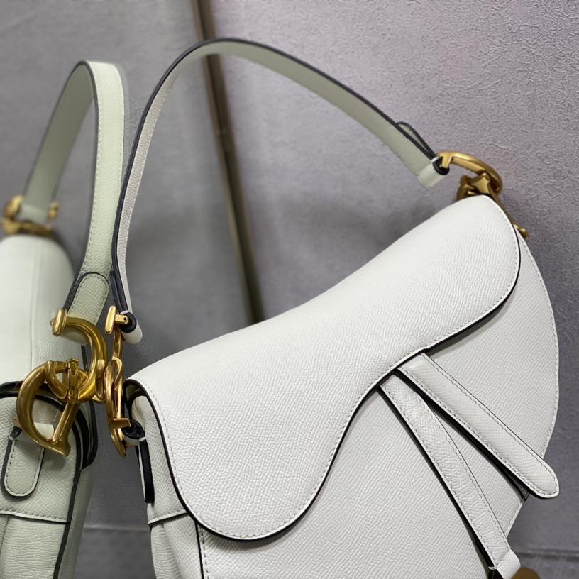 Dior Saddle Bag    25.5cm - DopestKickz