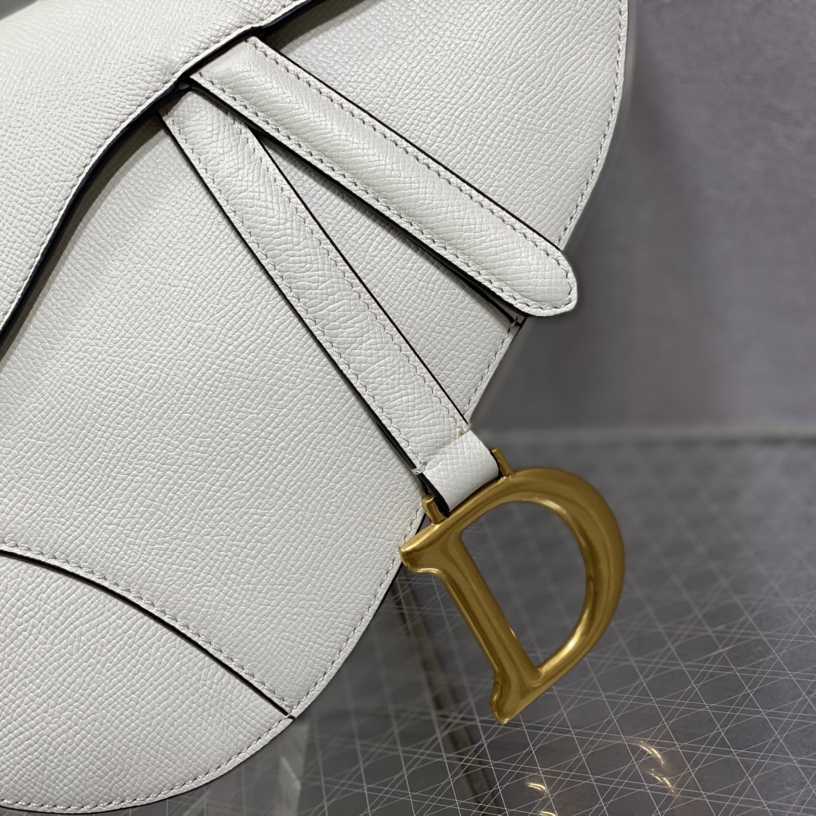 Dior Saddle Bag    25.5cm - DopestKickz