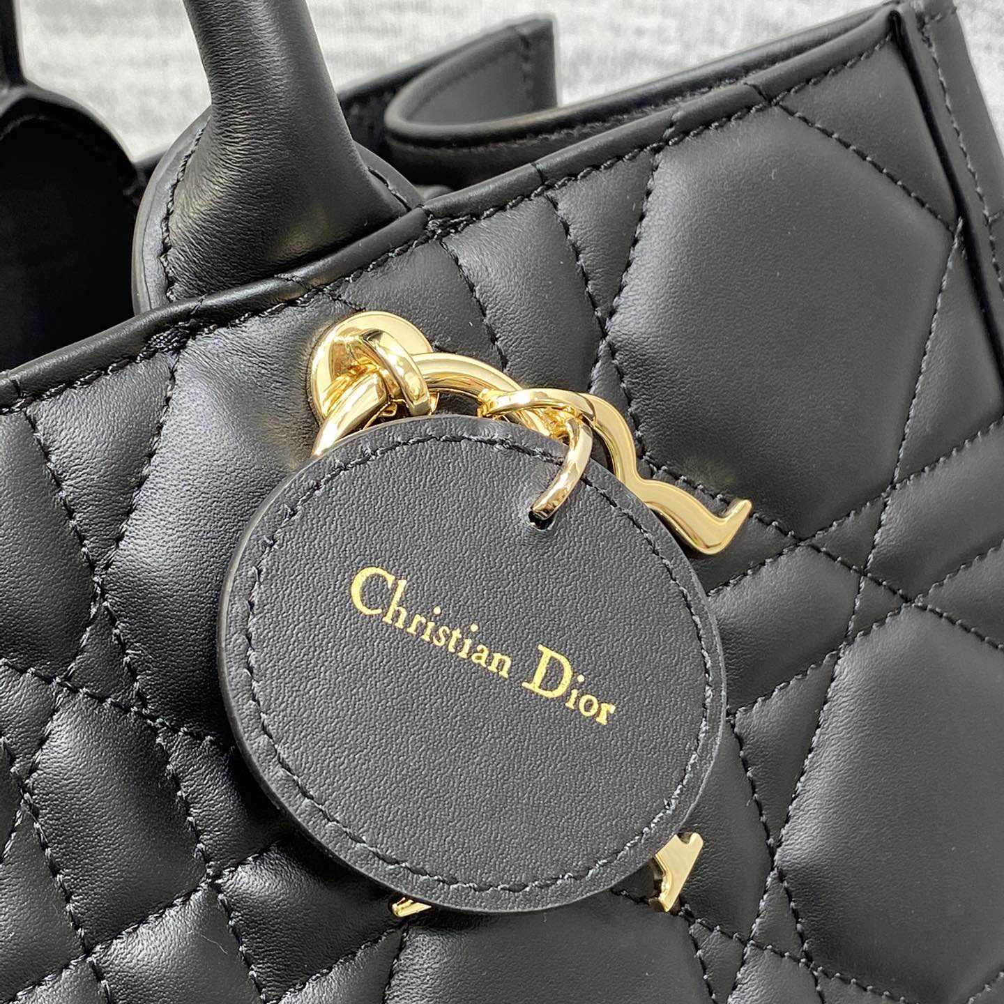 Dior Medium Dior Book Tote - DopestKickz