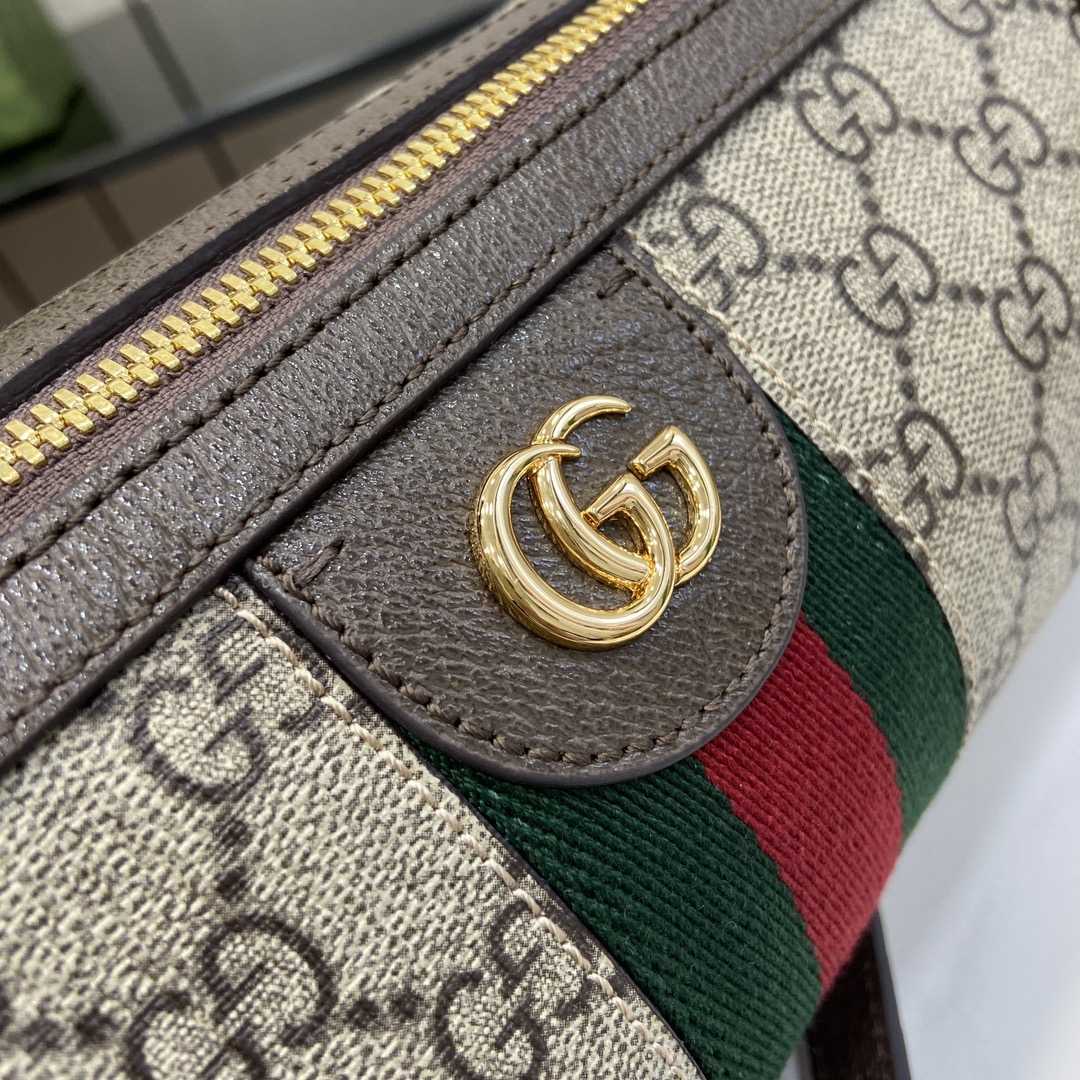 Gucci Ophidia Small Shoulder Bag - DopestKickz