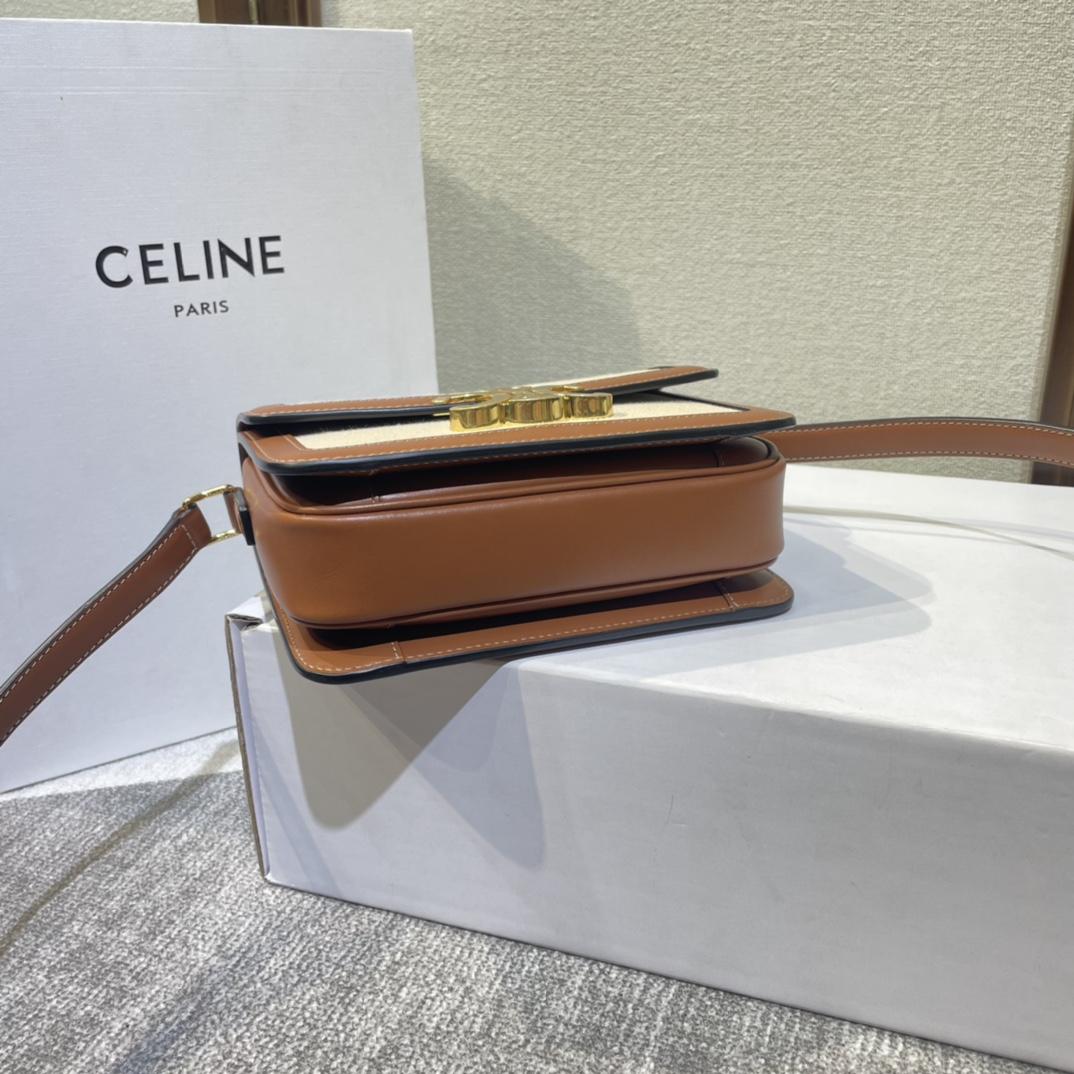 Celine Teen Triomphe Bag In Textile And Calfskin - DopestKickz