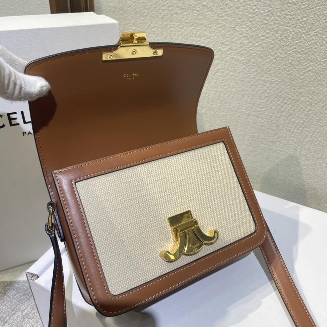 Celine Teen Triomphe Bag In Textile And Calfskin - DopestKickz