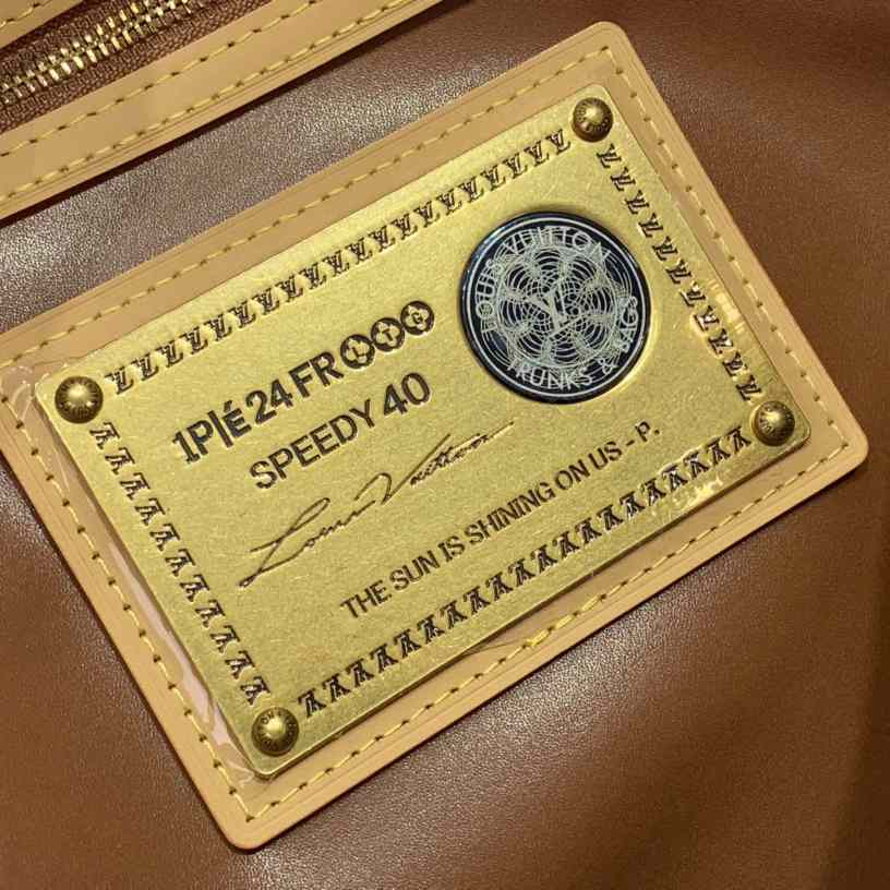 Louis Vuitton LV Speedy P9 Bandouliere 40 - DopestKickz