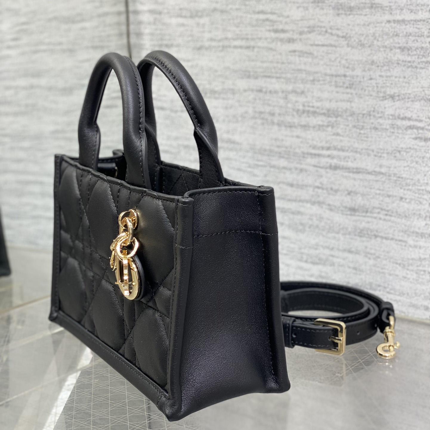 Dior Mini Dior Book Tote - DopestKickz