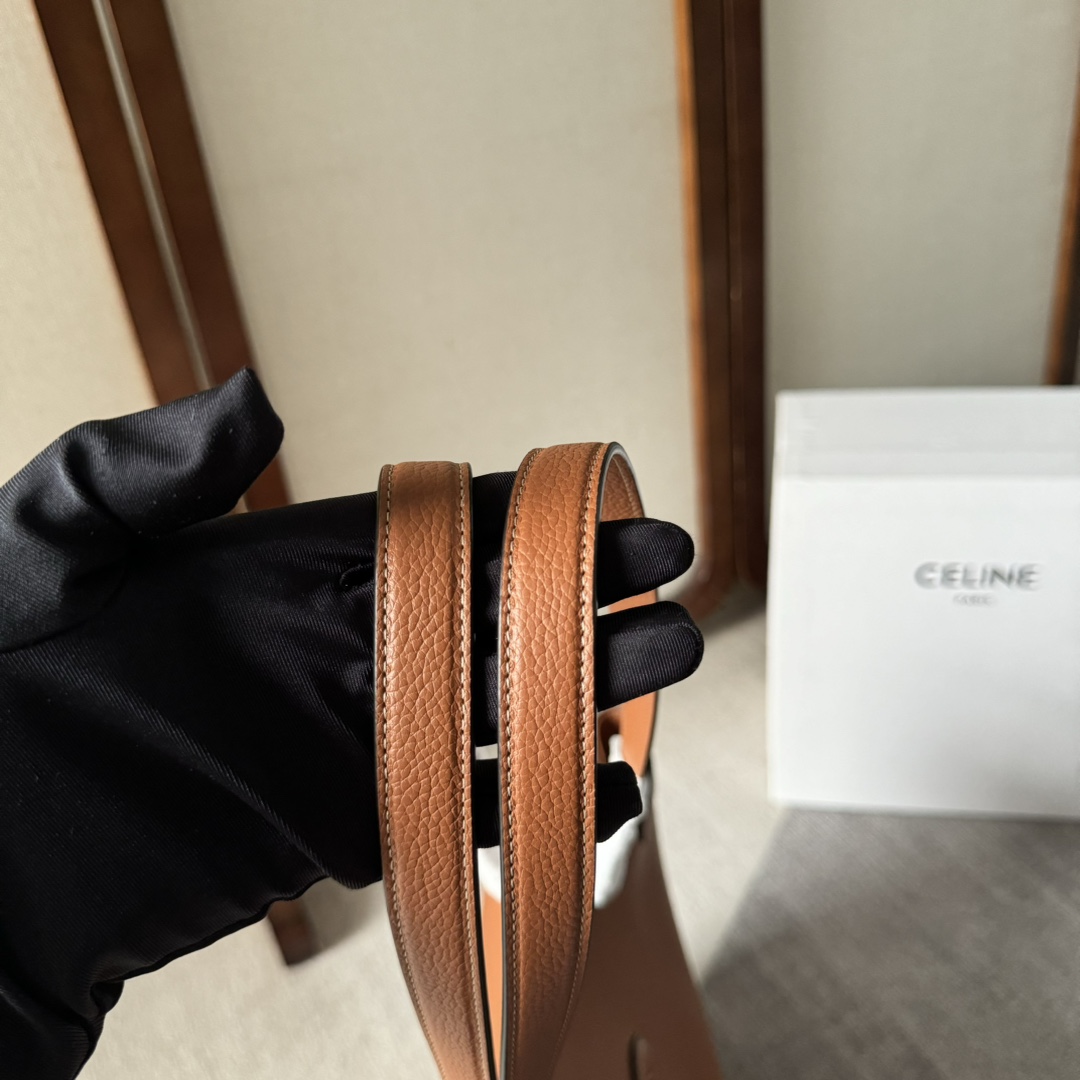 Celine Medium Cabas Anais Cuir Triomphe In Grained Calfskin - DopestKickz