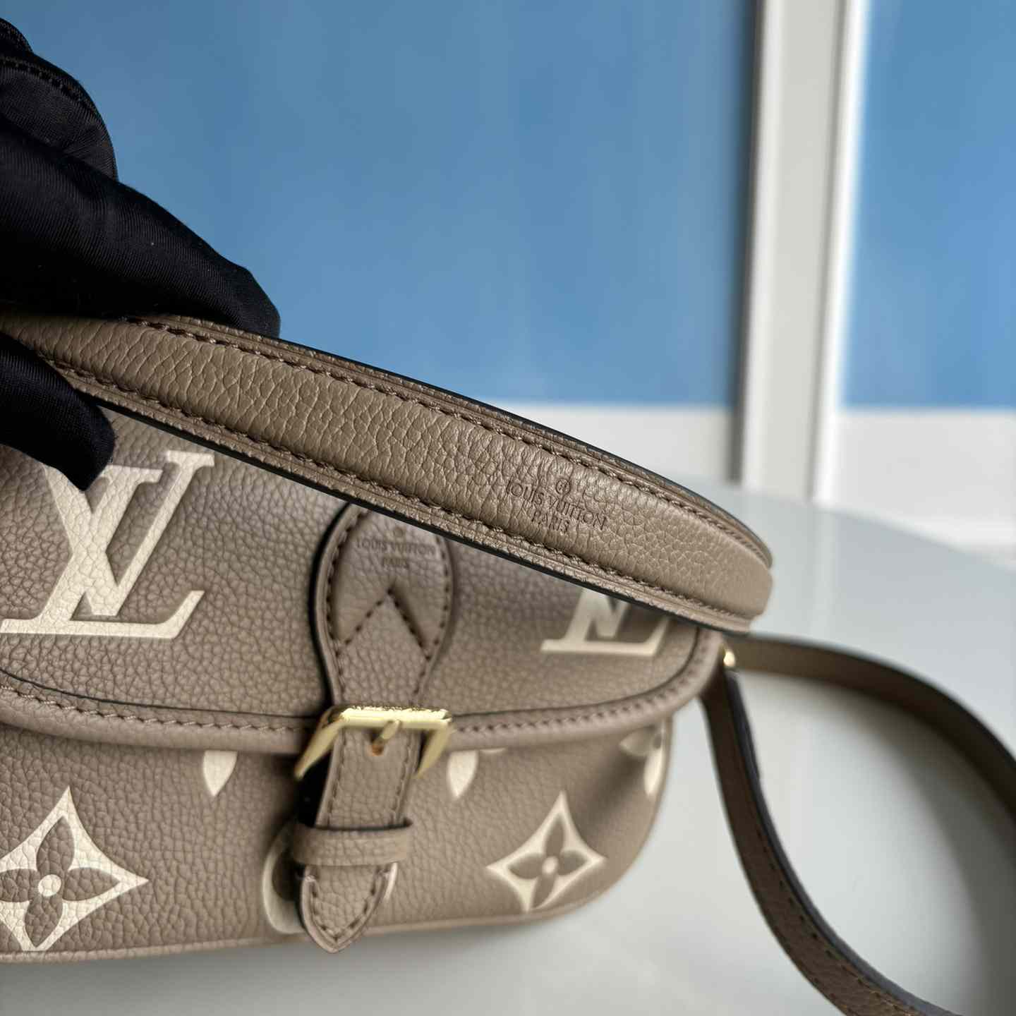 Louis Vuitton Nano Diane   M83300 - DopestKickz