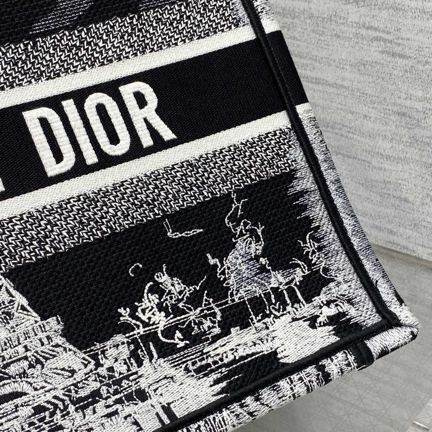 Dior Medium Dior Book Tote - DopestKickz