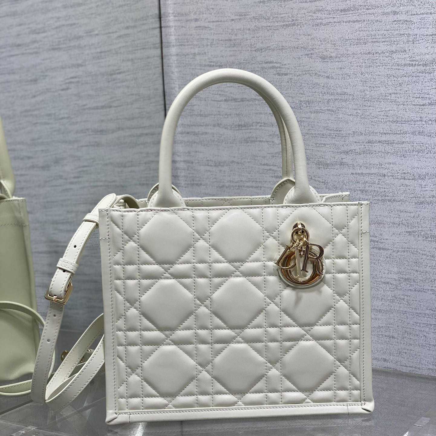 Dior Small Dior Book Tote - DopestKickz