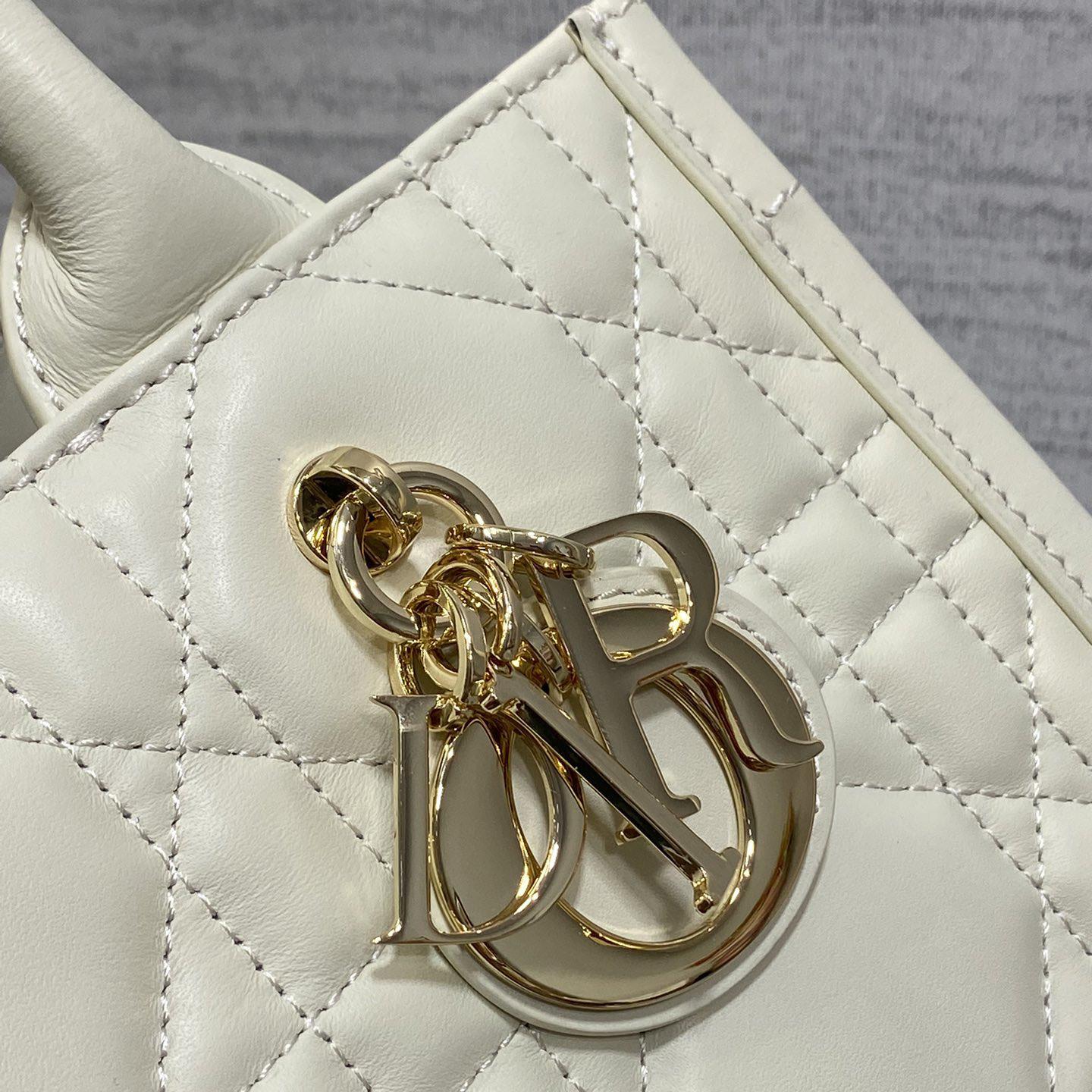 Dior Small Dior Book Tote - DopestKickz