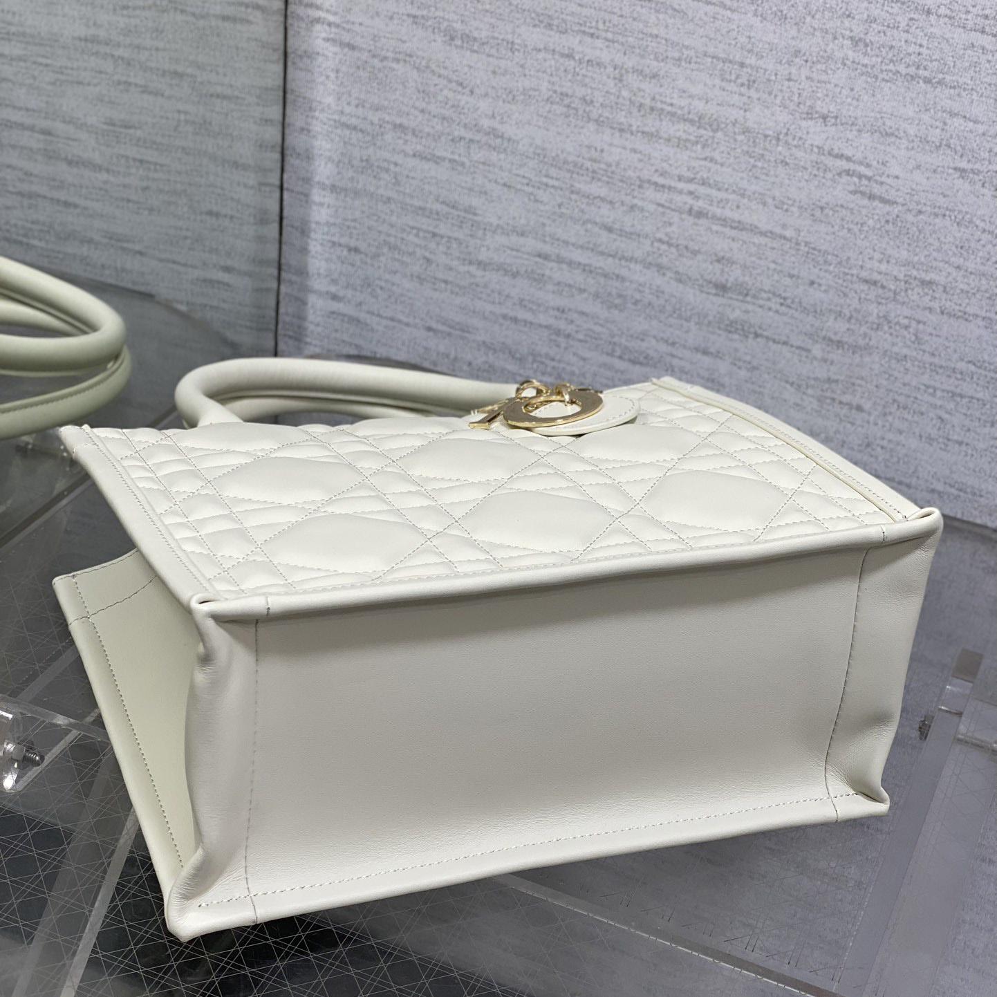 Dior Small Dior Book Tote - DopestKickz