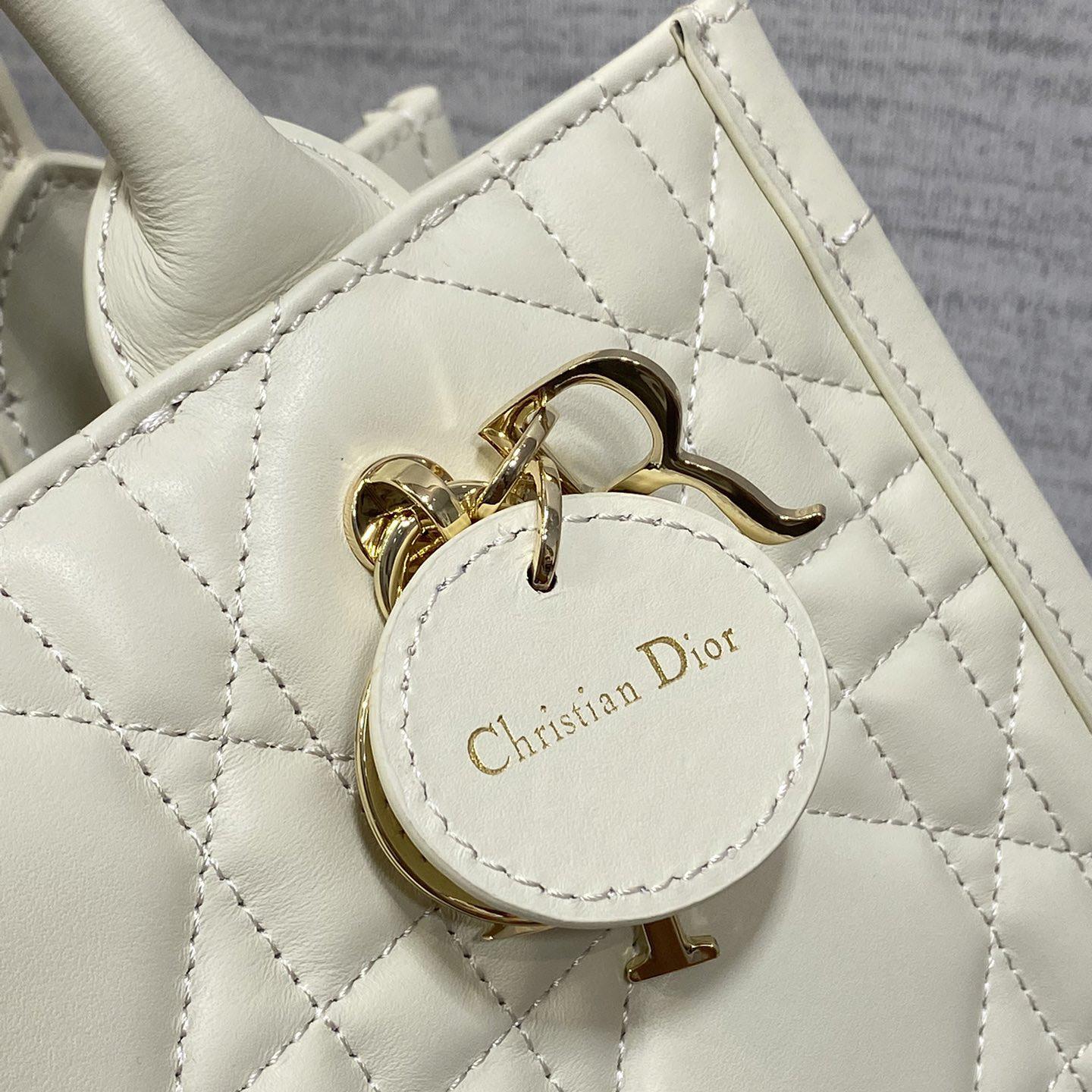 Dior Small Dior Book Tote - DopestKickz