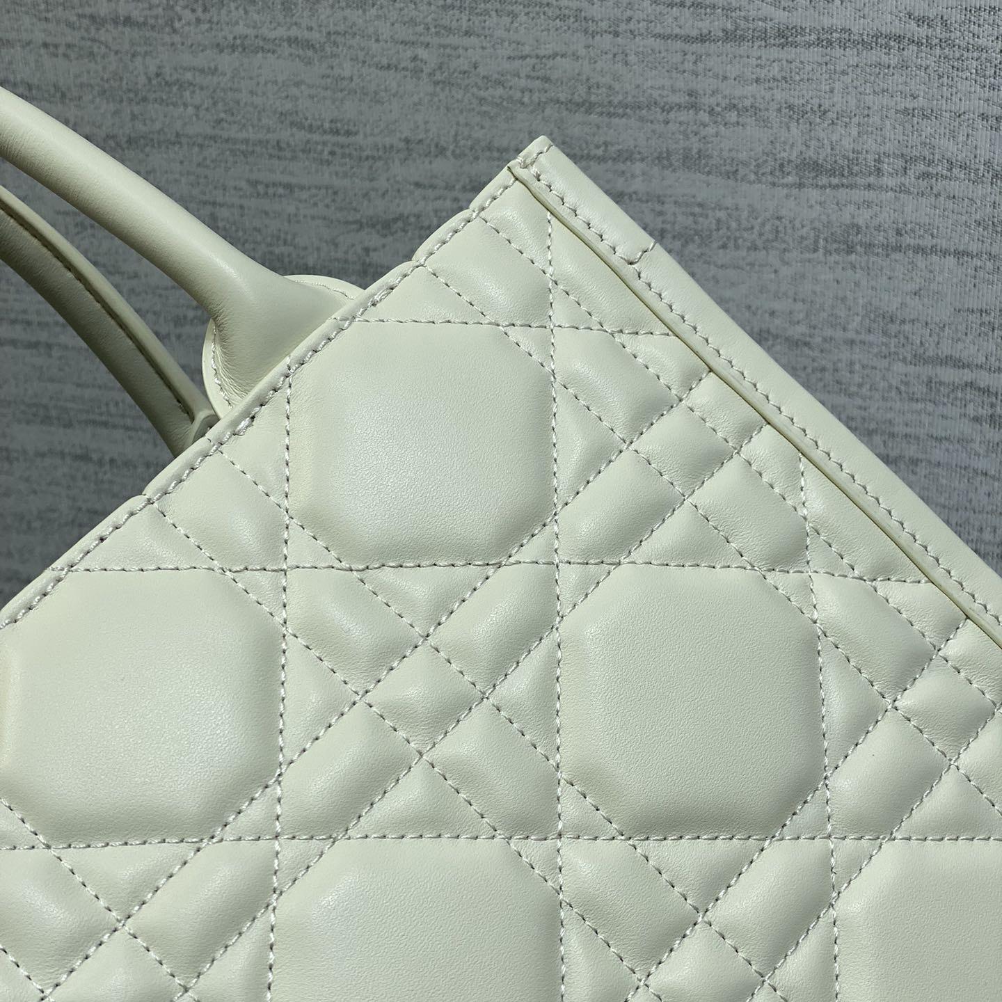 Dior Small Dior Book Tote - DopestKickz