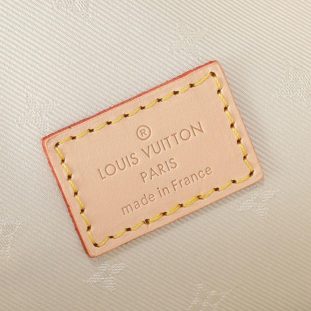 Louis Vuitton Wallet on Chain Ivy    M83499 - DopestKickz