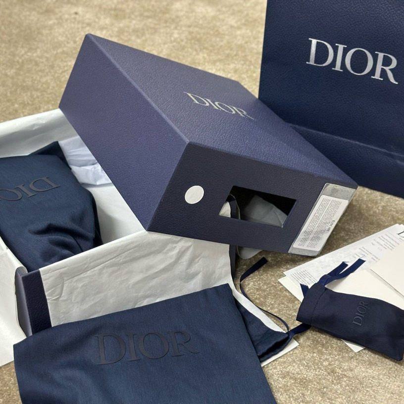 Dior B22 Sneaker  - DopestKickz
