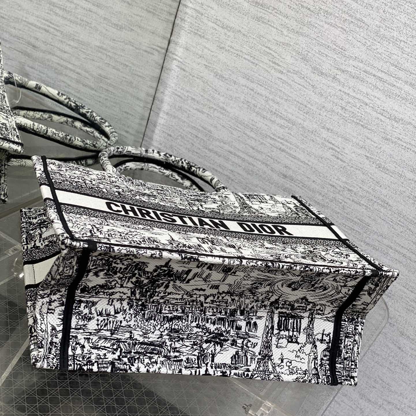 Dior Medium Dior Book Tote    - DopestKickz