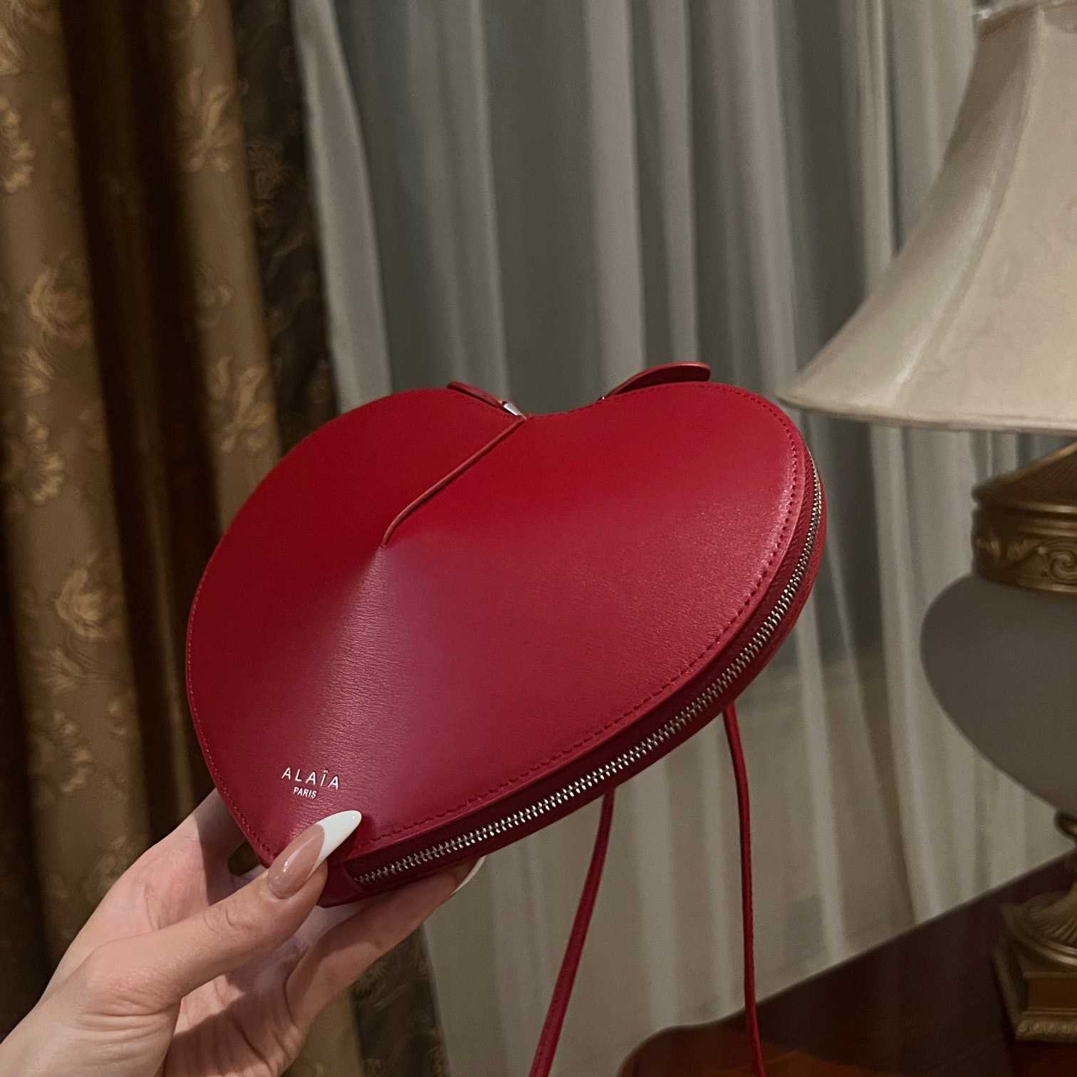Alaia Le Cœur Bag In Calfskin  - DopestKickz