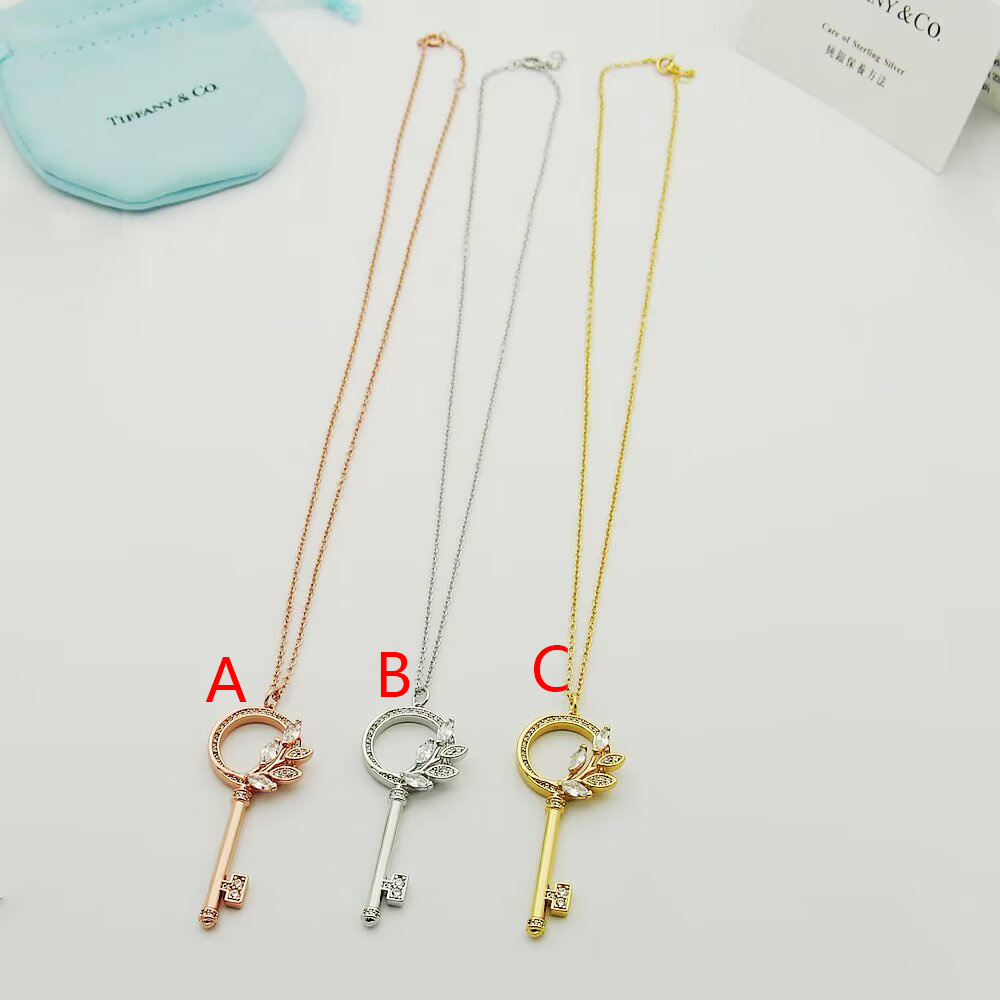 Tiffany & Co.  Diamond Vine Circle Key In Platinum - DopestKickz