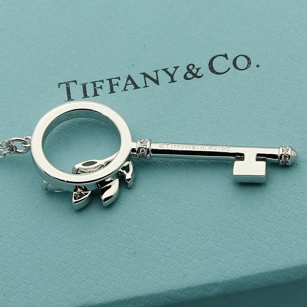 Tiffany & Co.  Diamond Vine Circle Key In Platinum - DopestKickz