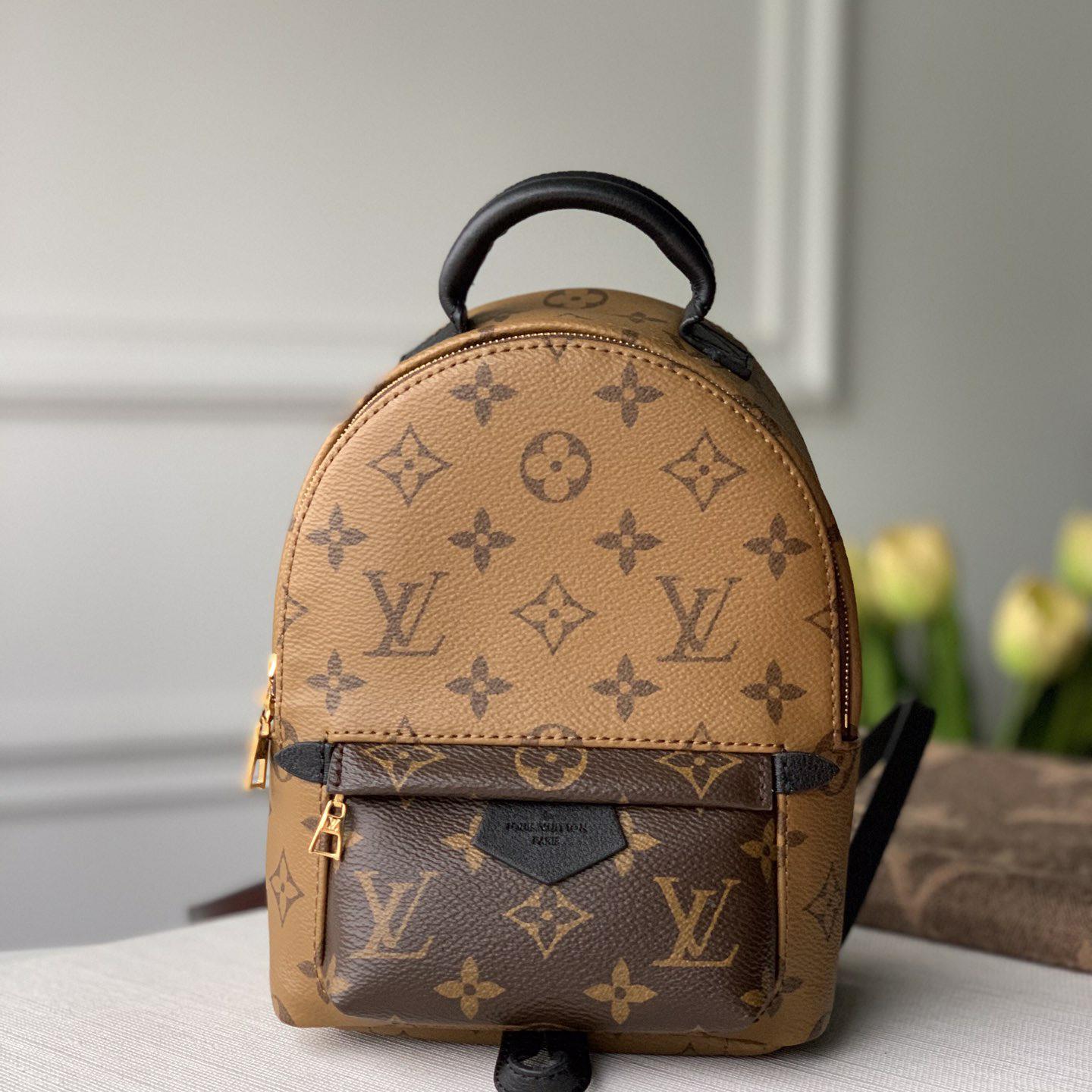 Louis Vuitton  Backpack   (17x22x10cm)  M44872 - DopestKickz