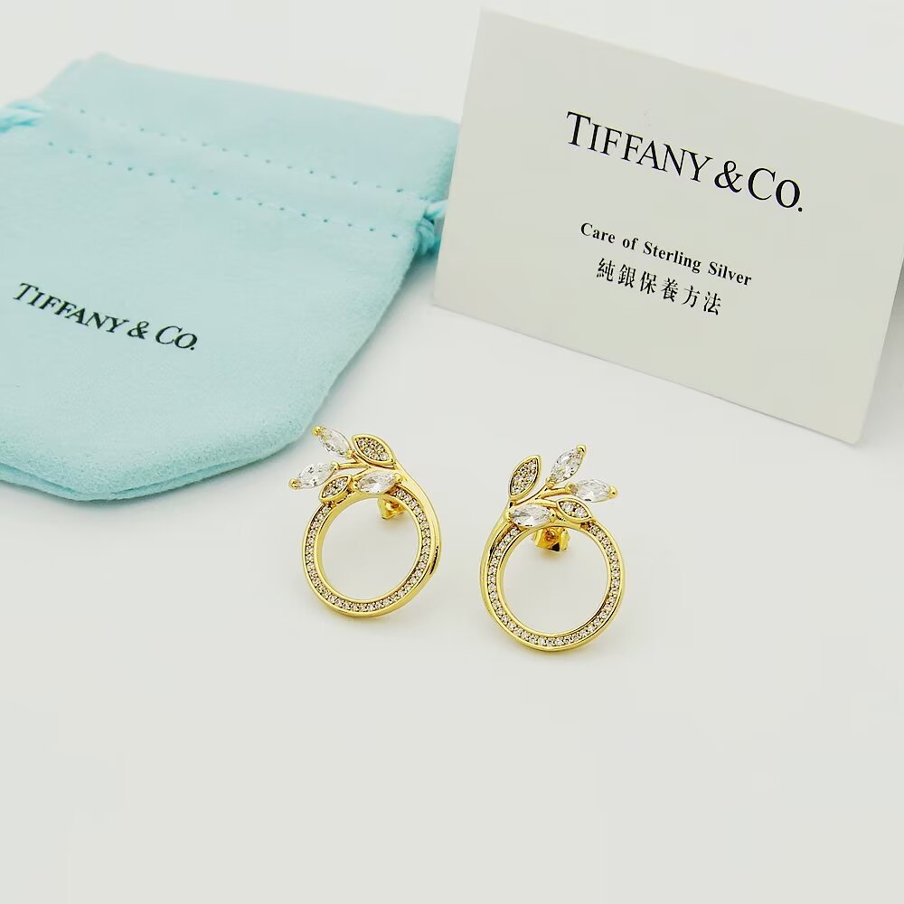 Tiffany & Co. Diamond Vine Circle Earrings In Platinum - DopestKickz