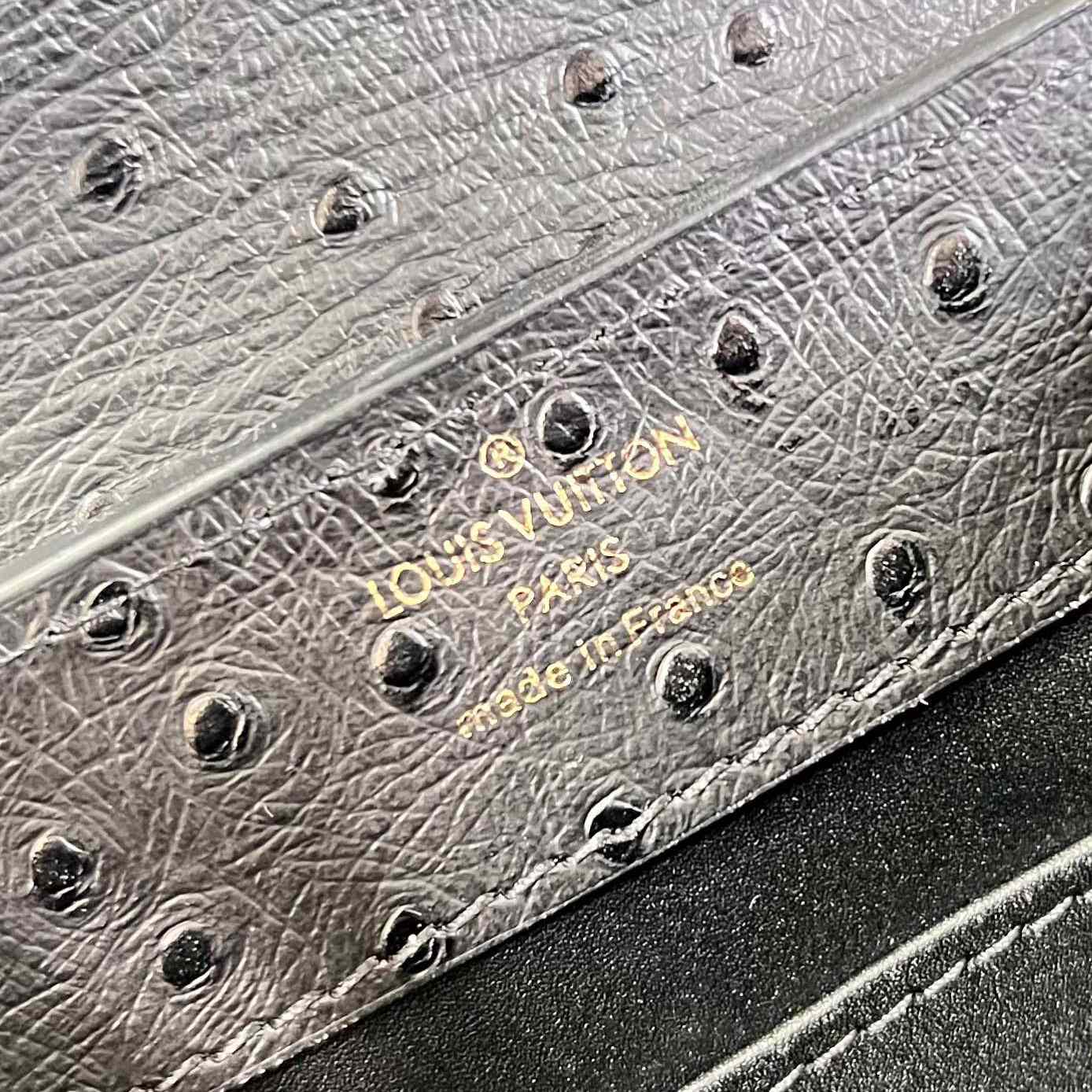 Louis Vuitton Capucines Mini  M93483 - DopestKickz