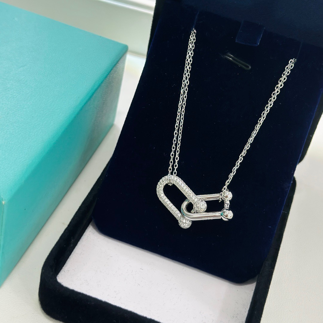 Tiffany & Co. Large Double Link Pendant - DopestKickz