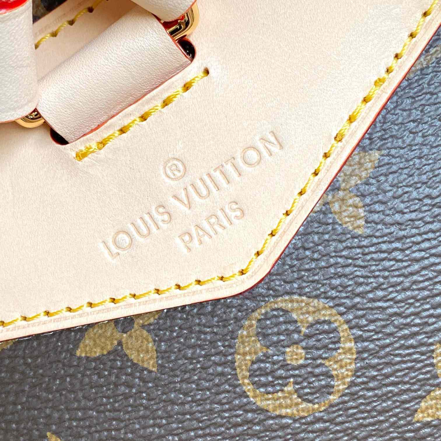 Louis Vuitton Montsouris MM  M11197 - DopestKickz