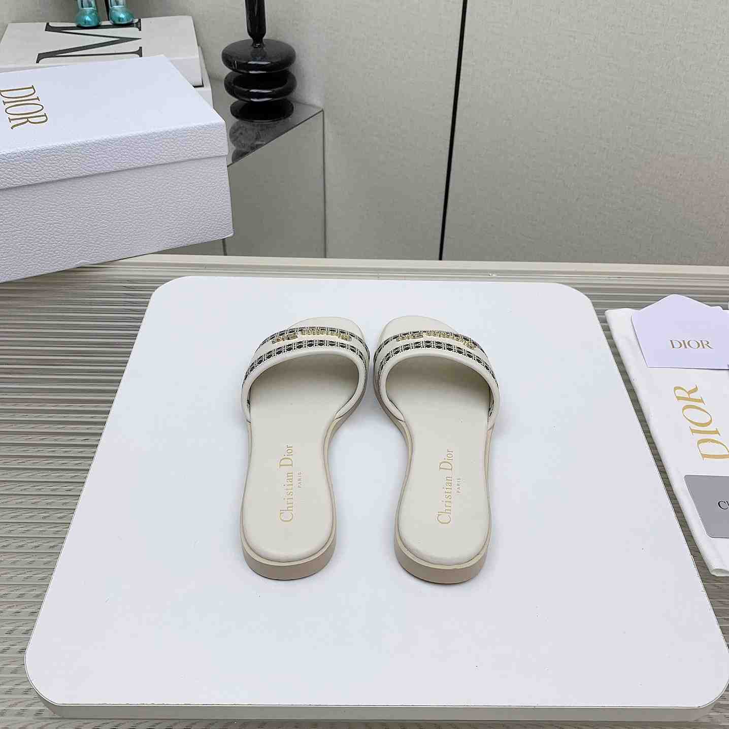 Dior D-Lane Slide  - DopestKickz