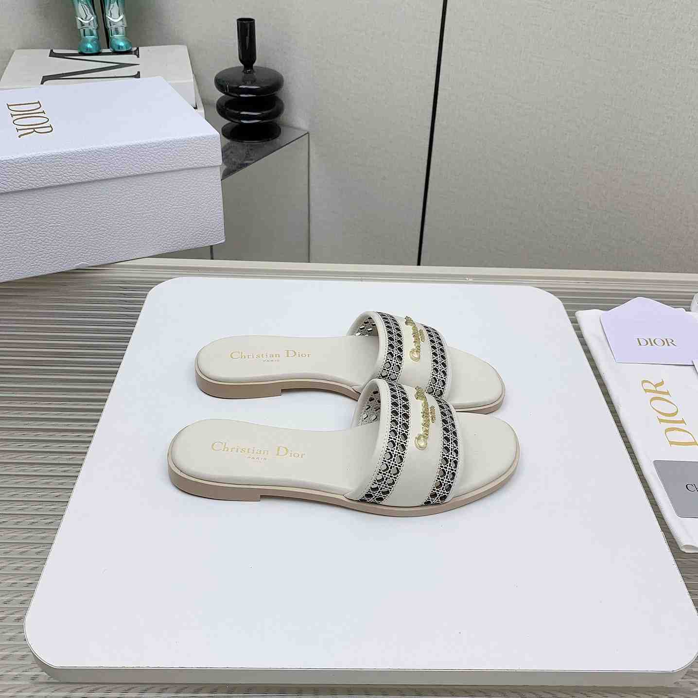 Dior D-Lane Slide  - DopestKickz