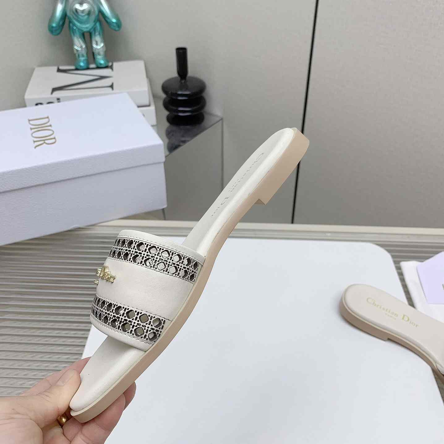 Dior D-Lane Slide  - DopestKickz