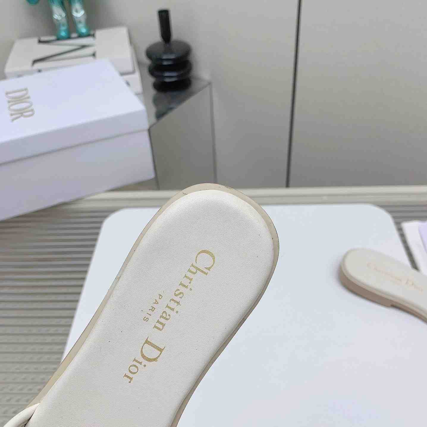 Dior D-Lane Slide  - DopestKickz