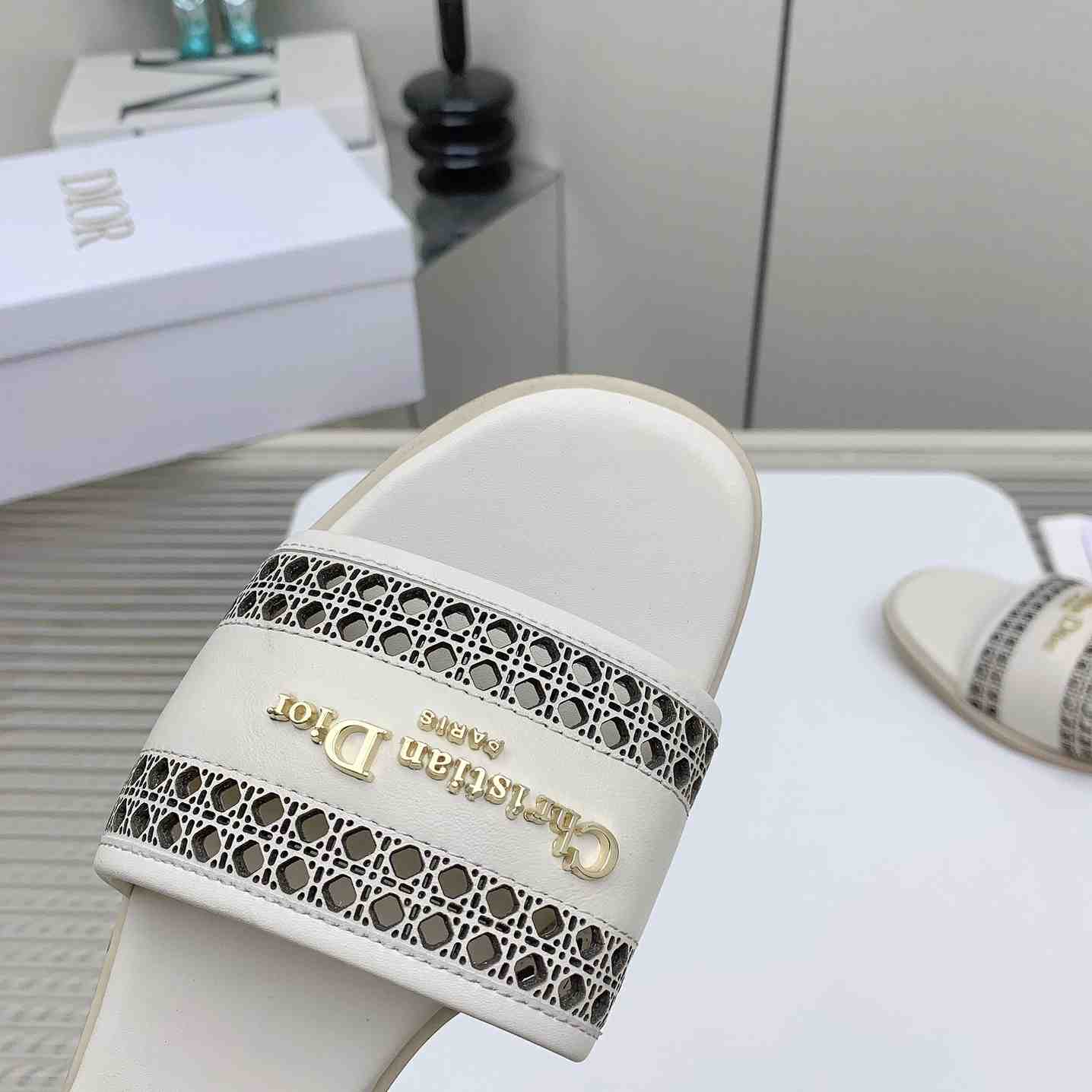 Dior D-Lane Slide  - DopestKickz