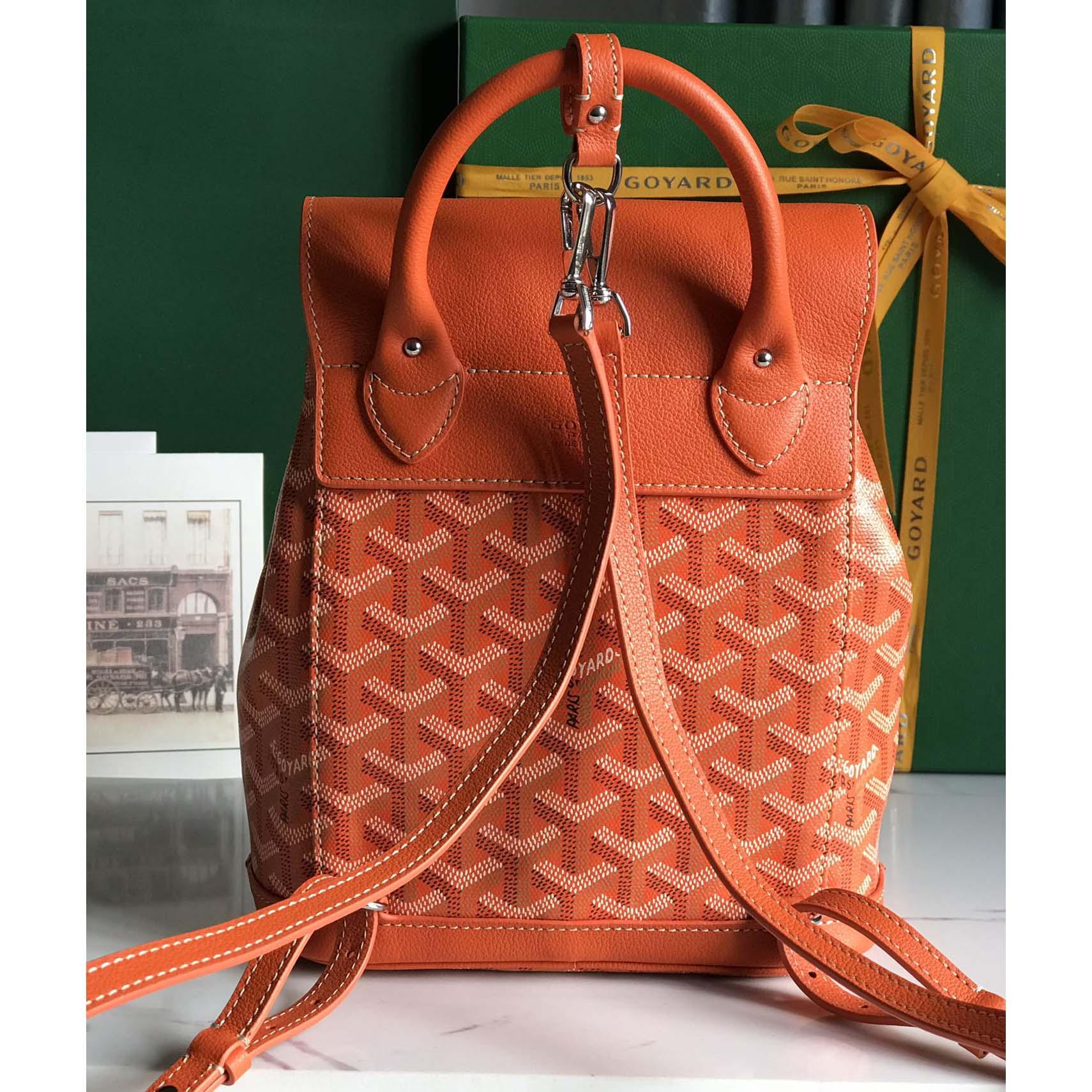 Goyard Alpin Mini Backpack - DopestKickz