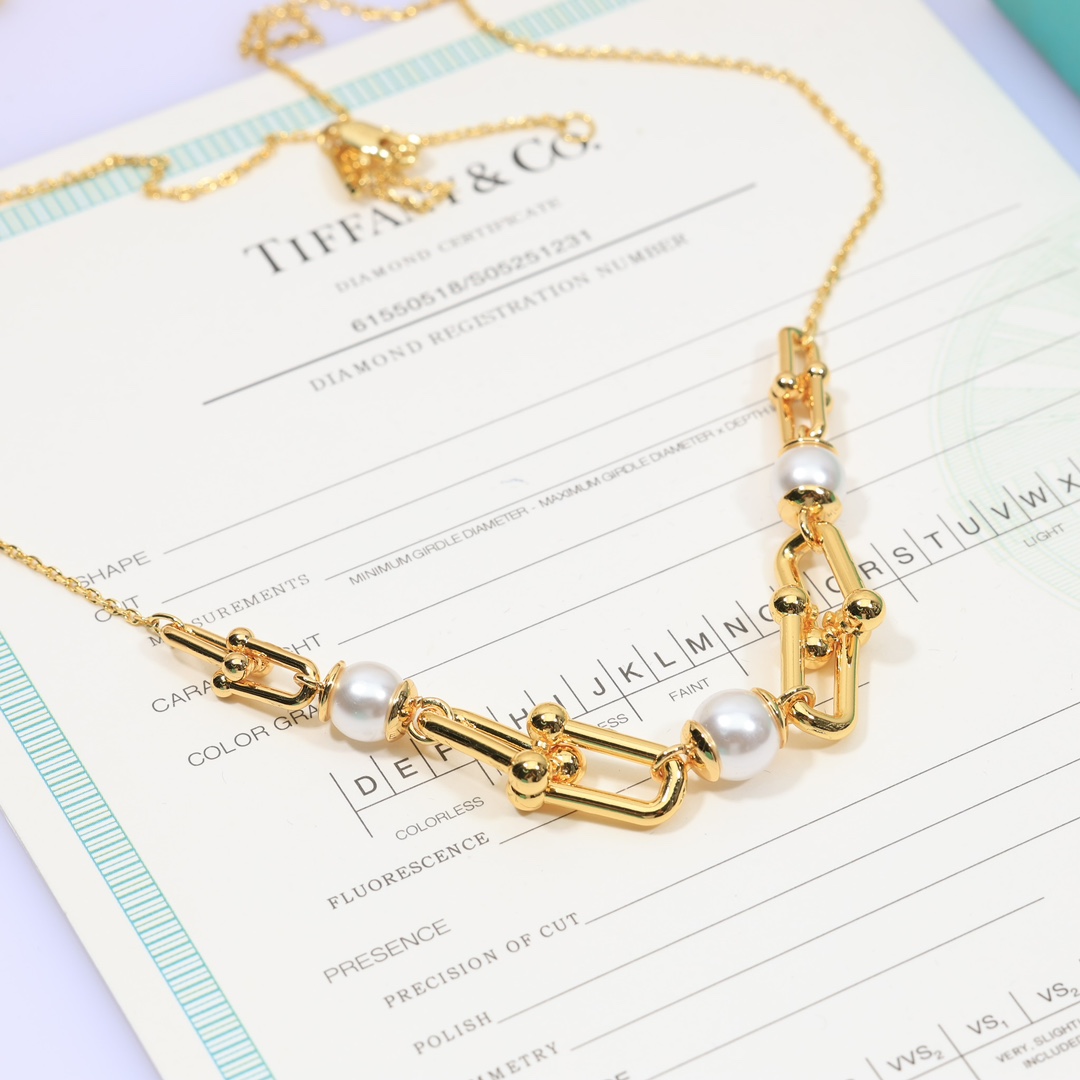 Tiffany & Co. Link Necklace - DopestKickz